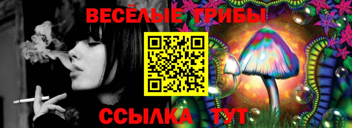Псилоцибиновые грибы Cubensis  Вход с VPN  где купить   Галлюциногенные грибы Cubensis  Елец 